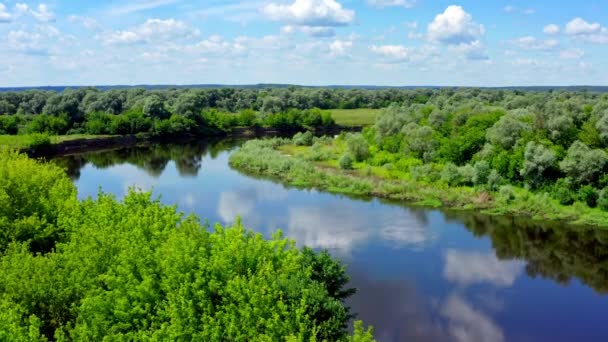 Widok Lotu Ptaka Drone Lata Nad Pięknym Letnim Krajobrazem Rzeką — Wideo stockowe