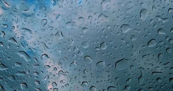 Textur Wassertropfen Auf Dem Grünen Glas Hintergrund Wasser Tropft Über — Stockvideo