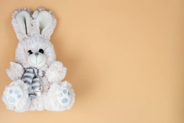 Bej arkaplanda pelüş, beyaz bir tavşan ve metin için yer var. Yukarıdan görünüm