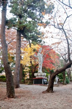 Tokyo, Japonya - 1 Aralık 2018: Zojo-ji Budist tapınağı. En eski olan ünlü bir tapınaktır Tokyo ahşap ana kapı inşa 1622. Bir Lady ona merhamet Budizm heykel Tapınağı parkta.