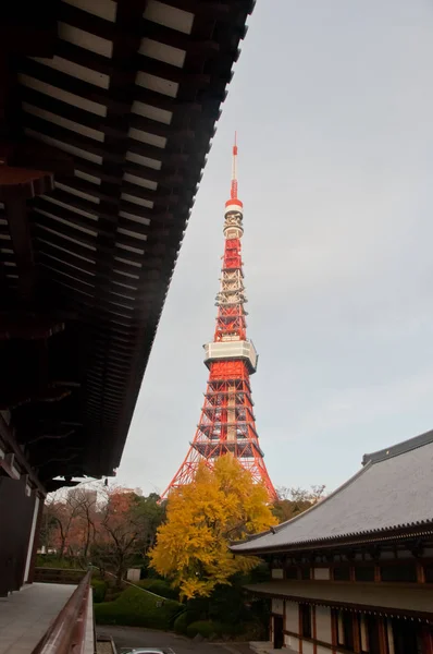 日本东京 - 2018年12月1日：Zoj附近的东京塔的场景 — 图库照片