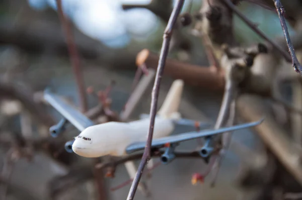 Modell-Spielzeugflugzeug aus nächster Nähe im Wald — Stockfoto