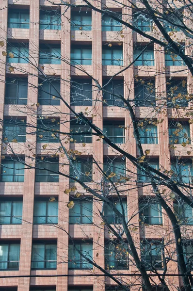 Высокое Корпоративное Офисное Здание Коричневого Кирпича Высохшим Деревом Перед Зданием — стоковое фото