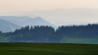 Arka planda yeşil çayır ve tepeler