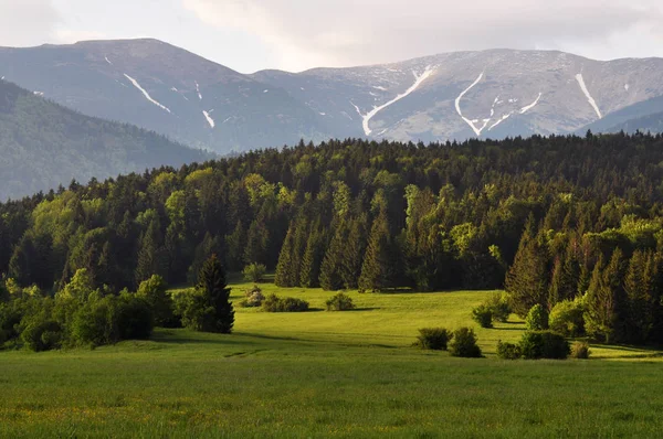 Dağlarda son kar ve bir vadiye bahar geliyor.