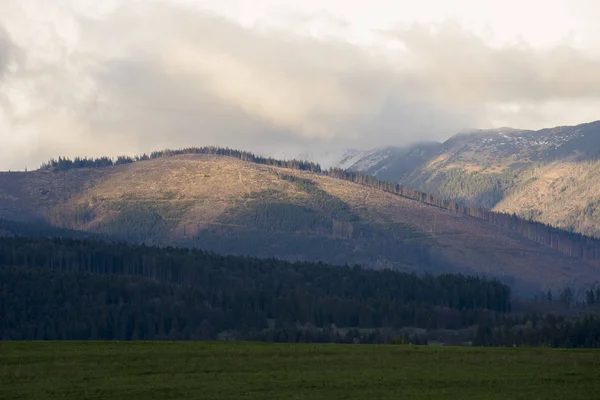 Clearcut, Slovakya 'da yok olan orman