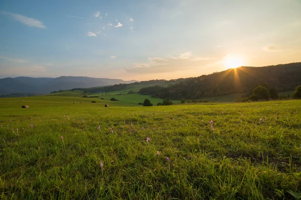 Çayırda gün batımı, Slovakya 'nın merkezinde sonbahar.