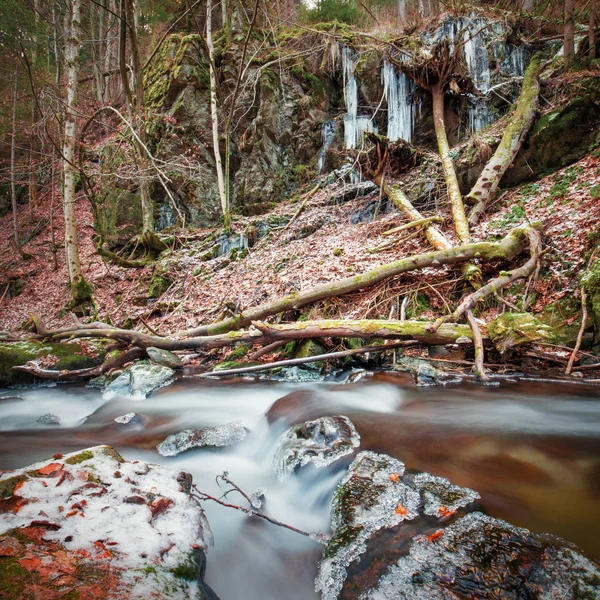 Belo fluxo de floresta congelada no inverno. Ciclos nas rochas. Inverno sem neve . — Fotografia de Stock