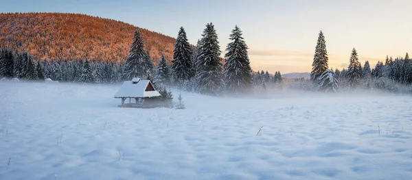 Shelter In The Misty Meadow Surrounded By Snow Covered Spruce Trees In The Last Evening Sunlight — Stock Photo, Image