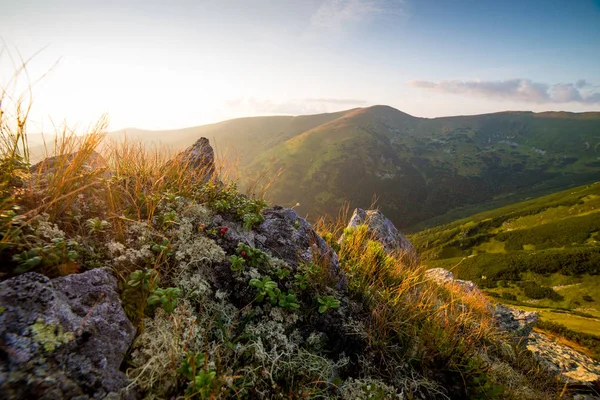 Sonnenuntergang im Nationalpark Niedere Tatra, Slowakei — Stockfoto