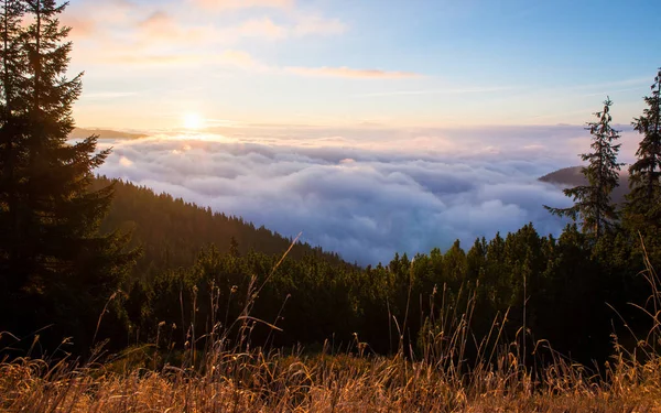 Sun Rises Through The Cloud Inversion, Sunrise On The Mountains