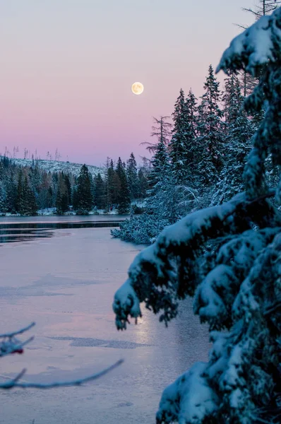 Strbske pleso, High Tatras Slovakya. Tarlaların ve karla kaplı ağaçların üzerinde ay doğuyor.