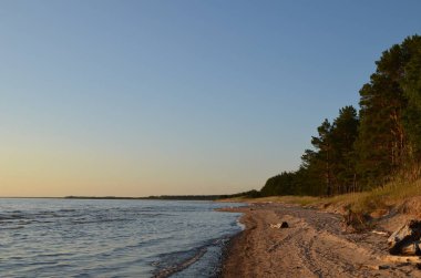 Güneşli bir yaz gününde Onega Gölü 'nün kumlu kıyıları