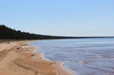 Güneşli bir yaz gününde Onega Gölü 'nün kumlu kıyıları
