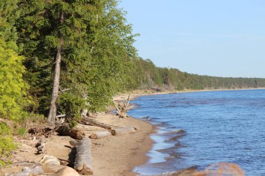 Güneşli bir yaz gününde Onega Gölü 'nün kumlu kıyıları