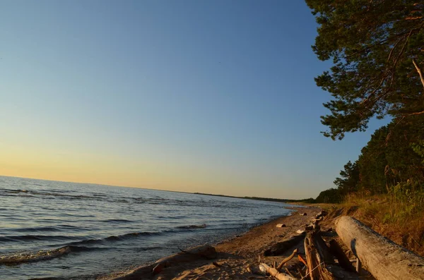 Güneşli bir yaz gününde Onega Gölü 'nün kumlu kıyıları