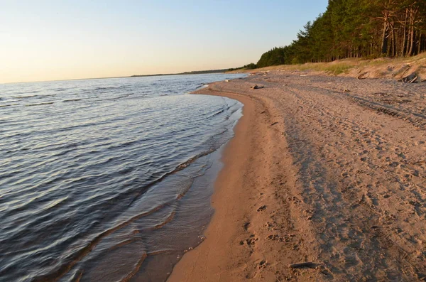 Güneşli bir yaz gününde Onega Gölü 'nün kumlu kıyıları