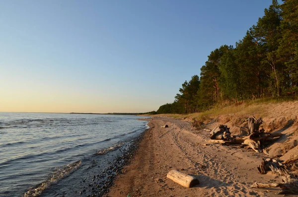 Güneşli bir yaz gününde Onega Gölü 'nün kumlu kıyıları