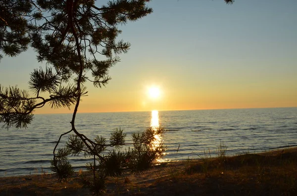     Onega Gölü, Vologda Oblastı 'nda yaz boyunca gün batımı
