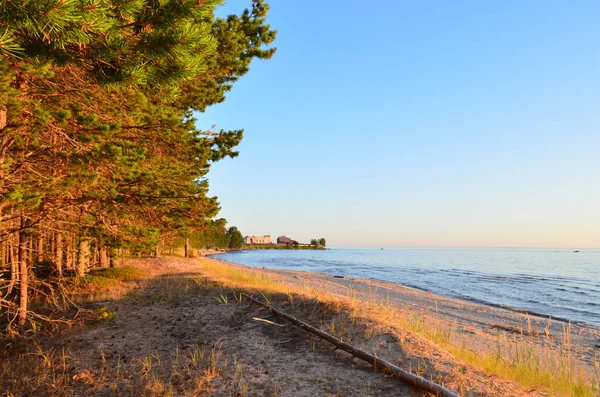 Güneşli bir yaz gününde Onega Gölü 'nün kumlu kıyıları