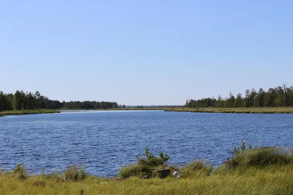 Yazın güneşli bir günde Onega Gölü yakınlarındaki bataklıklarda sessiz bir orman gölü.