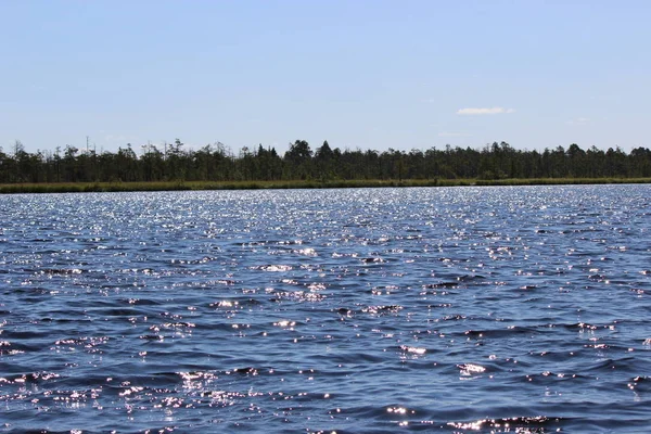 Yazın güneşli bir günde Onega Gölü yakınlarındaki bataklıklarda sessiz bir orman gölü.