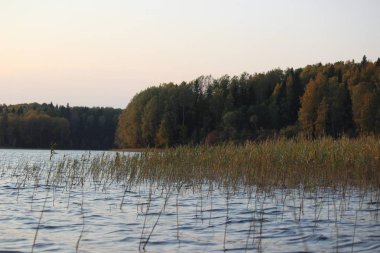 Gün batımında büyük bir gölün kıyısında renkli bir sonbahar ormanı.