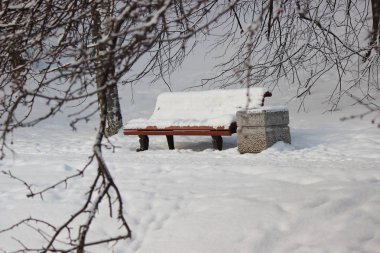 Soğuk bir kış gününde, karlı bir parkta bank.