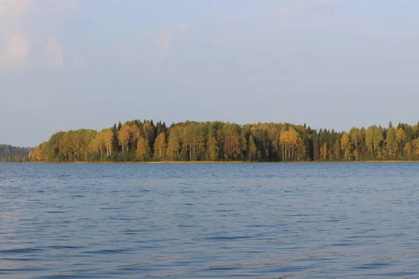 Лісове Озеро Блакитною Водою Осінній Сонячний День Тлі Красивого Листяного — стокове фото