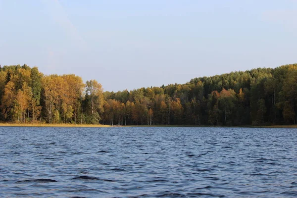 Orman gölü, sonbaharda mavi suyla güneşli bir günde güzel bir yaprak döken ormanın arka planına karşı.
