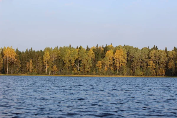 Orman gölü, sonbaharda mavi suyla güneşli bir günde güzel bir yaprak döken ormanın arka planına karşı.