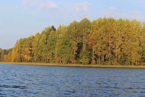 Лесное Озеро Голубой Водой Осенью Солнечный День Фоне Красивого Лиственного — стоковое фото