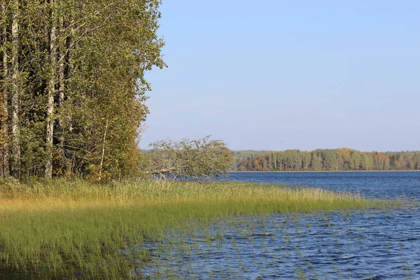 Orman gölü, sonbaharda mavi suyla güneşli bir günde güzel bir yaprak döken ormanın arka planına karşı.