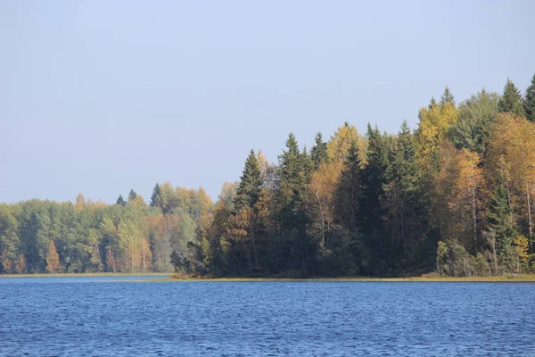 Orman gölü, sonbaharda mavi suyla güneşli bir günde güzel bir yaprak döken ormanın arka planına karşı.