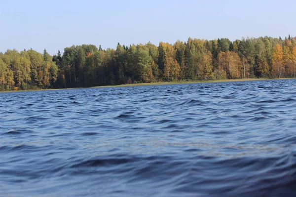 Лісове Озеро Блакитною Водою Осінній Сонячний День Тлі Красивого Листяного — стокове фото