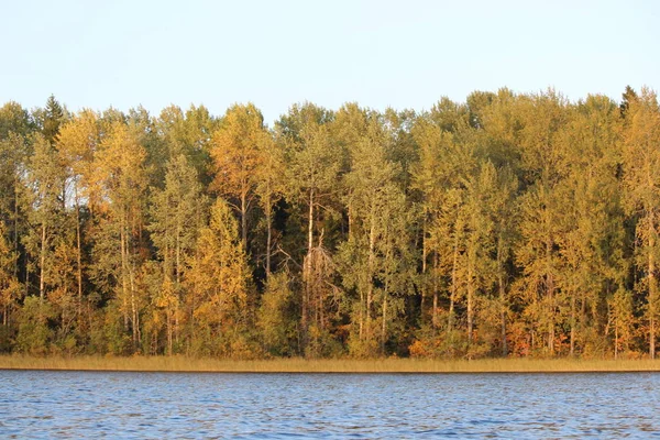 Gün batımında büyük bir gölün kıyısında renkli bir sonbahar ormanı.