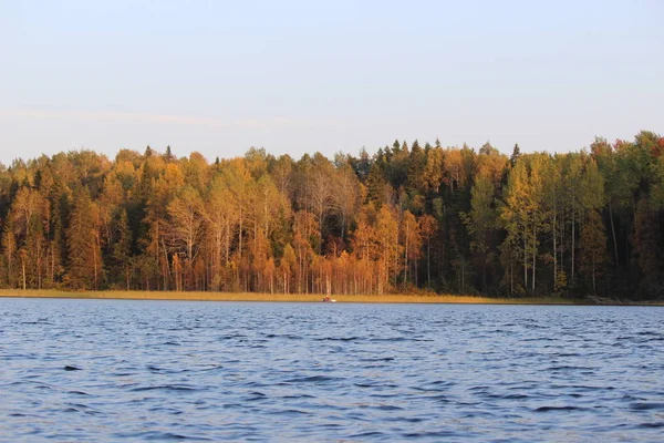 Kleurrijke Herfstbos Aan Oever Van Een Groot Meer Bij Zonsondergang — Stockfoto