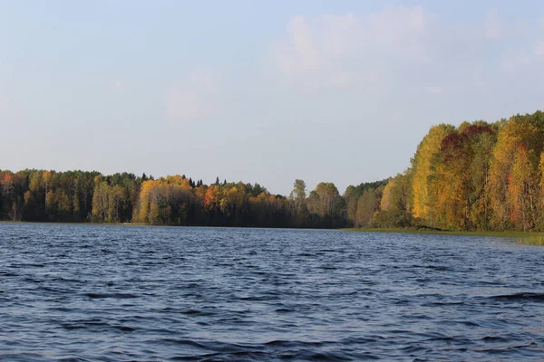 Colorido Bosque Otoño Orilla Gran Lago Atardecer — Foto de Stock