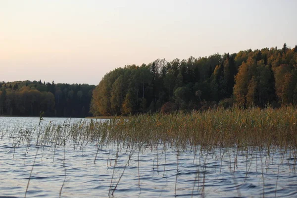 Gün batımında büyük bir gölün kıyısında renkli bir sonbahar ormanı.