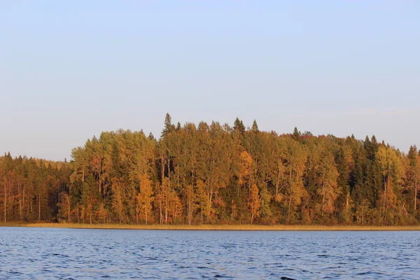 秋天阳光明媚的日子里 在一片美丽的落叶森林的衬托下 蓝水映衬下的森林湖 — 图库照片