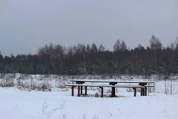 Asztal Szék Ásott Földbe Parton Mologa Folyó Vologda Oblast Egy — Stock Fotó