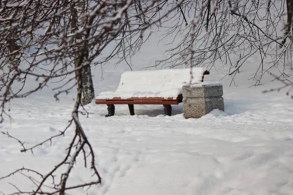 Soğuk bir kış gününde, karlı bir parkta bank.