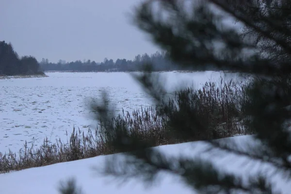 Buz kaplı Mologa Nehri, Vologda Oblastı, soğuk bir günde