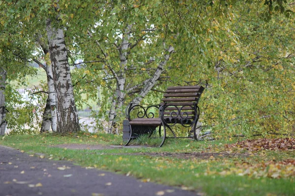 Bir sonbahar gününde parkta boş bir bank.