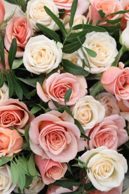 çok renkli güzel çiçekler.