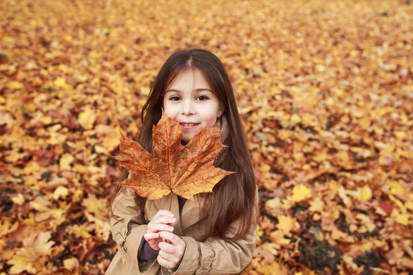 Six Year Old Girl Hiding Behind Large Maple Leaf In Autumn