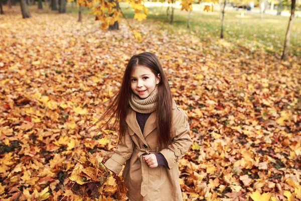 小女孩在秋叶玩耍 — 图库照片