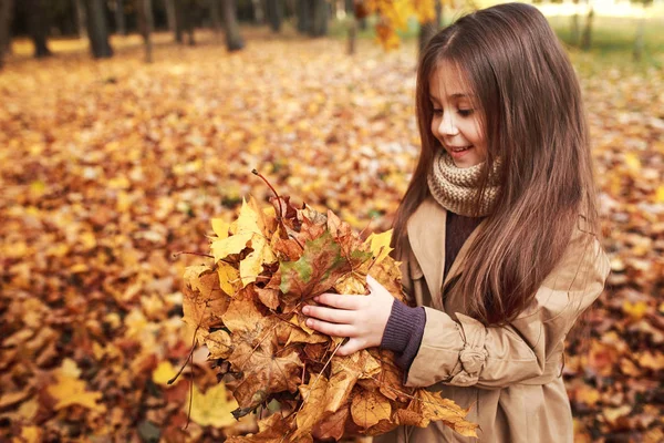 Mała Dziewczynka Gra Jesiennych Liści — Zdjęcie stockowe