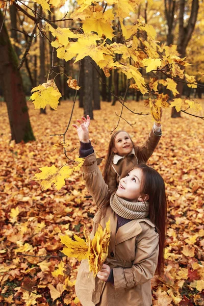 Dos Niñas Juegan Las Hojas Otoño Parque — Foto de Stock