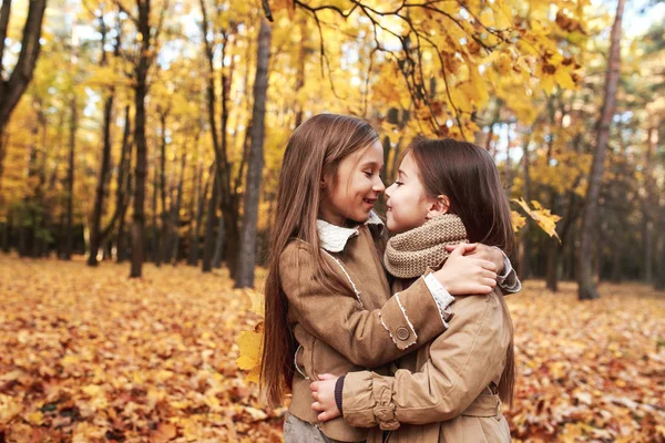 Cute two little sisters hugging in autumn park